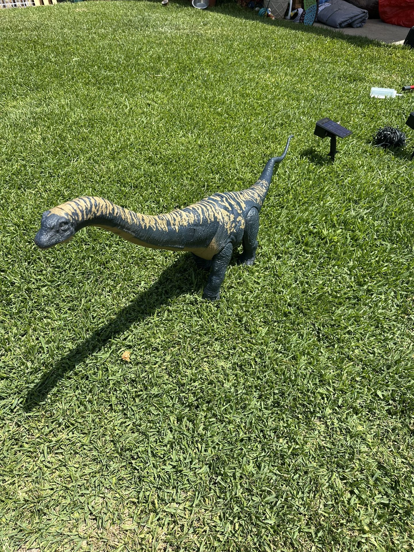 Mamenchisaurus sinocanadorum dinosaur