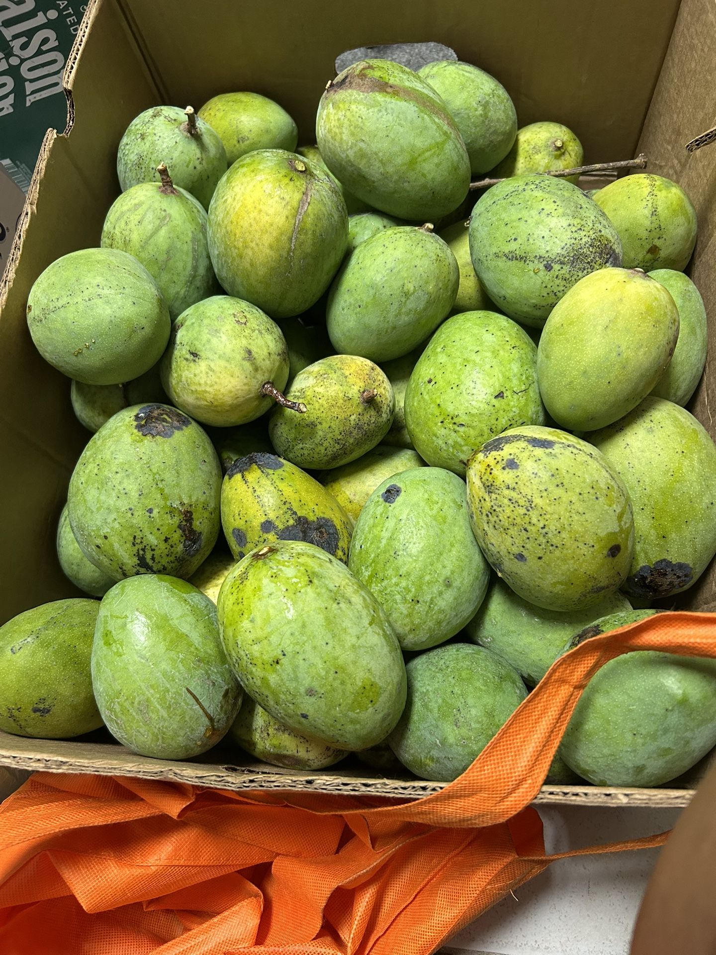 Mango