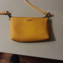 Calvin Klein Purse