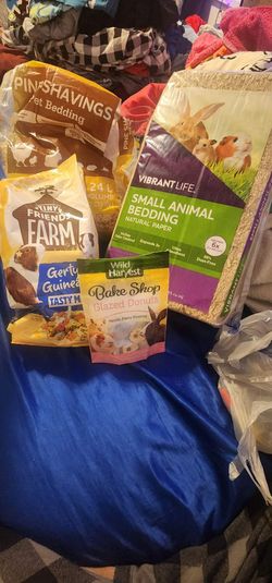 Guinea pig stuff