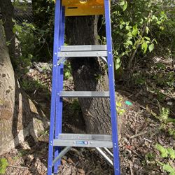 Werner 4 Foot Fiberglass Ladder