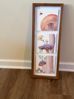 Framed Mushroom Watercolor Art Triptych