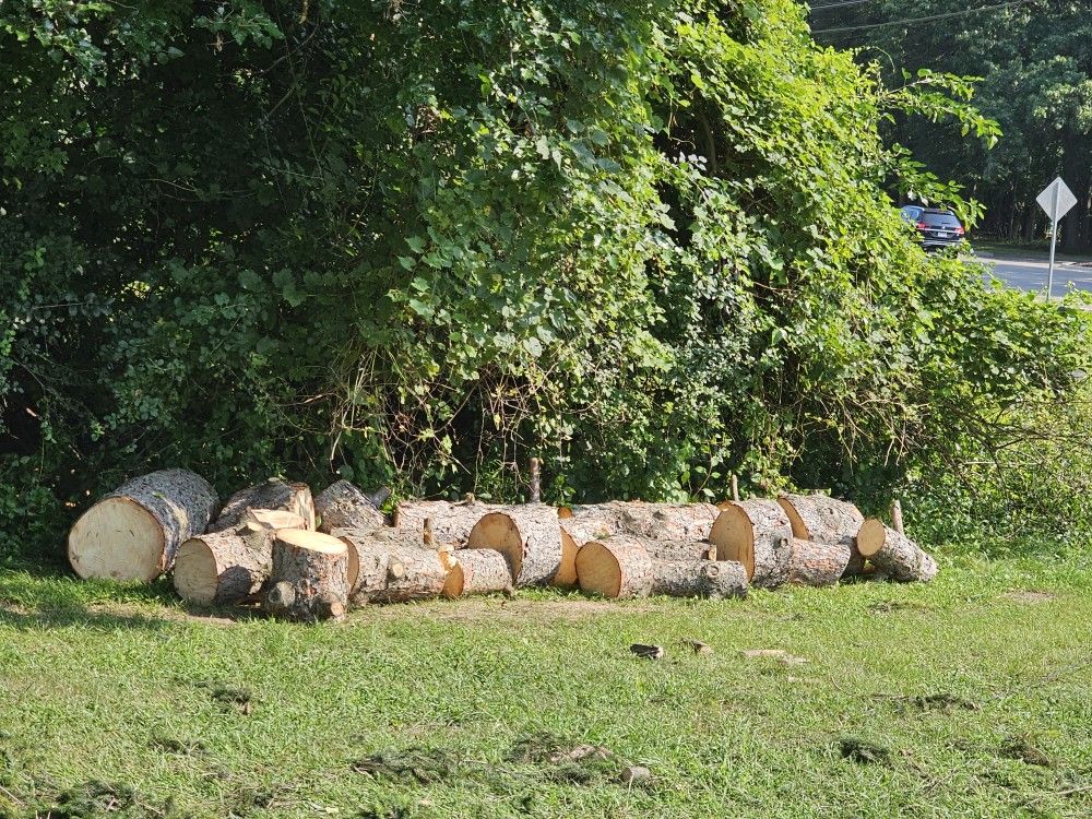 Firewood/ Logs
