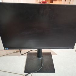Monitor"  24"
