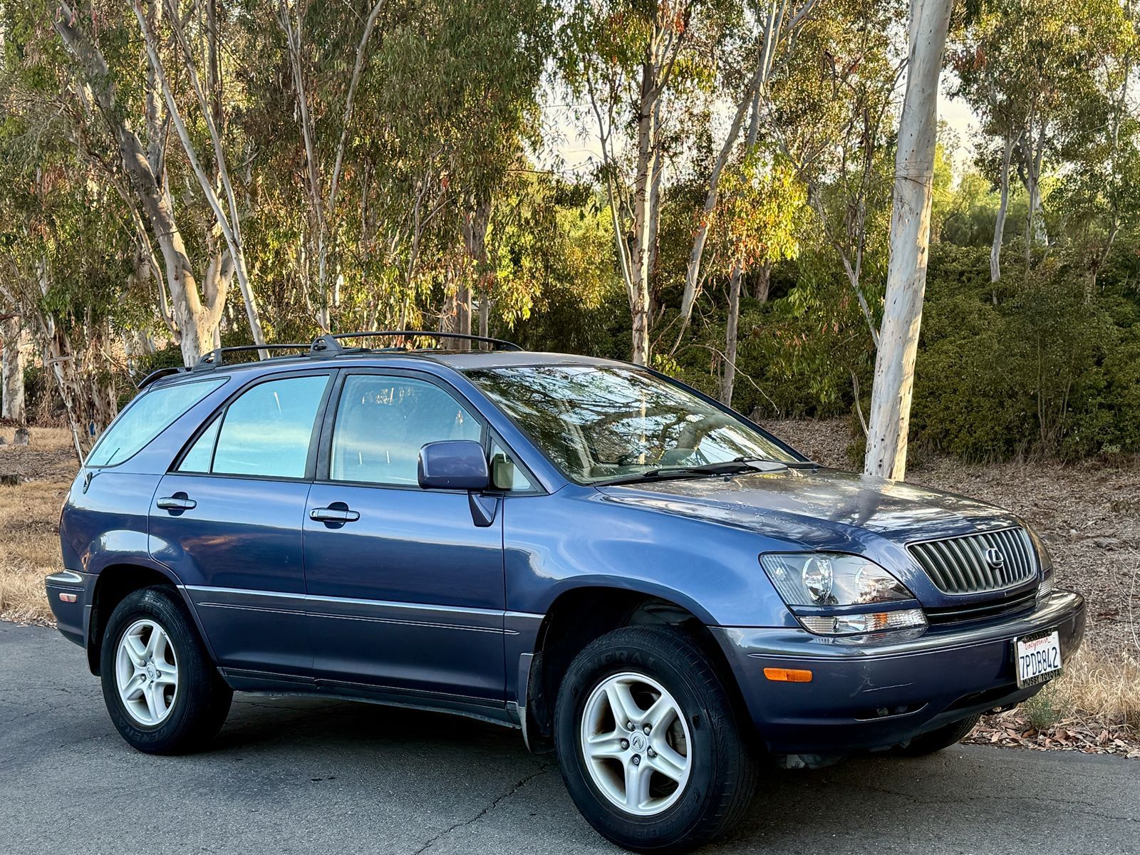 1999 Lexus Rx 300