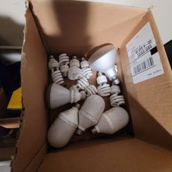 Fluorescent Bulbs