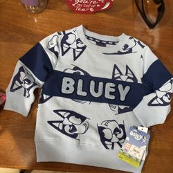 Bluey And Spider-Man Sweatshirt. 