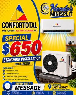 Mini split one ton unit 115v