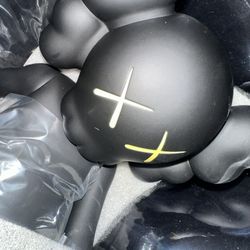 Kaws “Along The Way”  2019