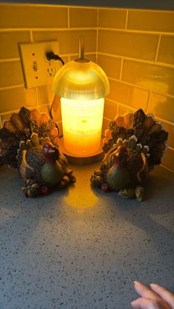 Set of turkeys