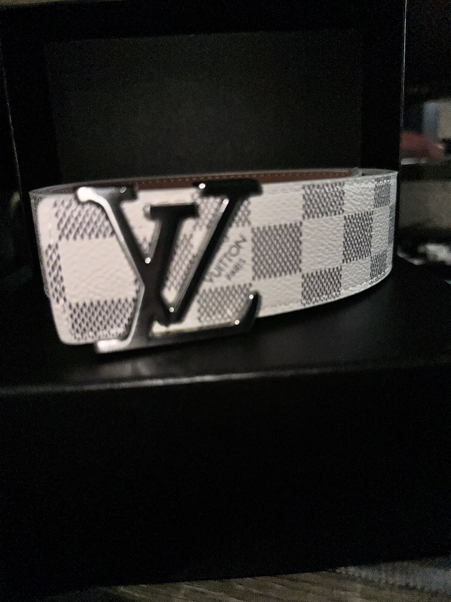 Louis Vuitton Waist Accessorie