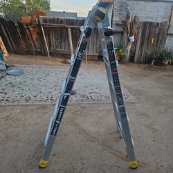 Ladder: multi-position ladder (gorilla)