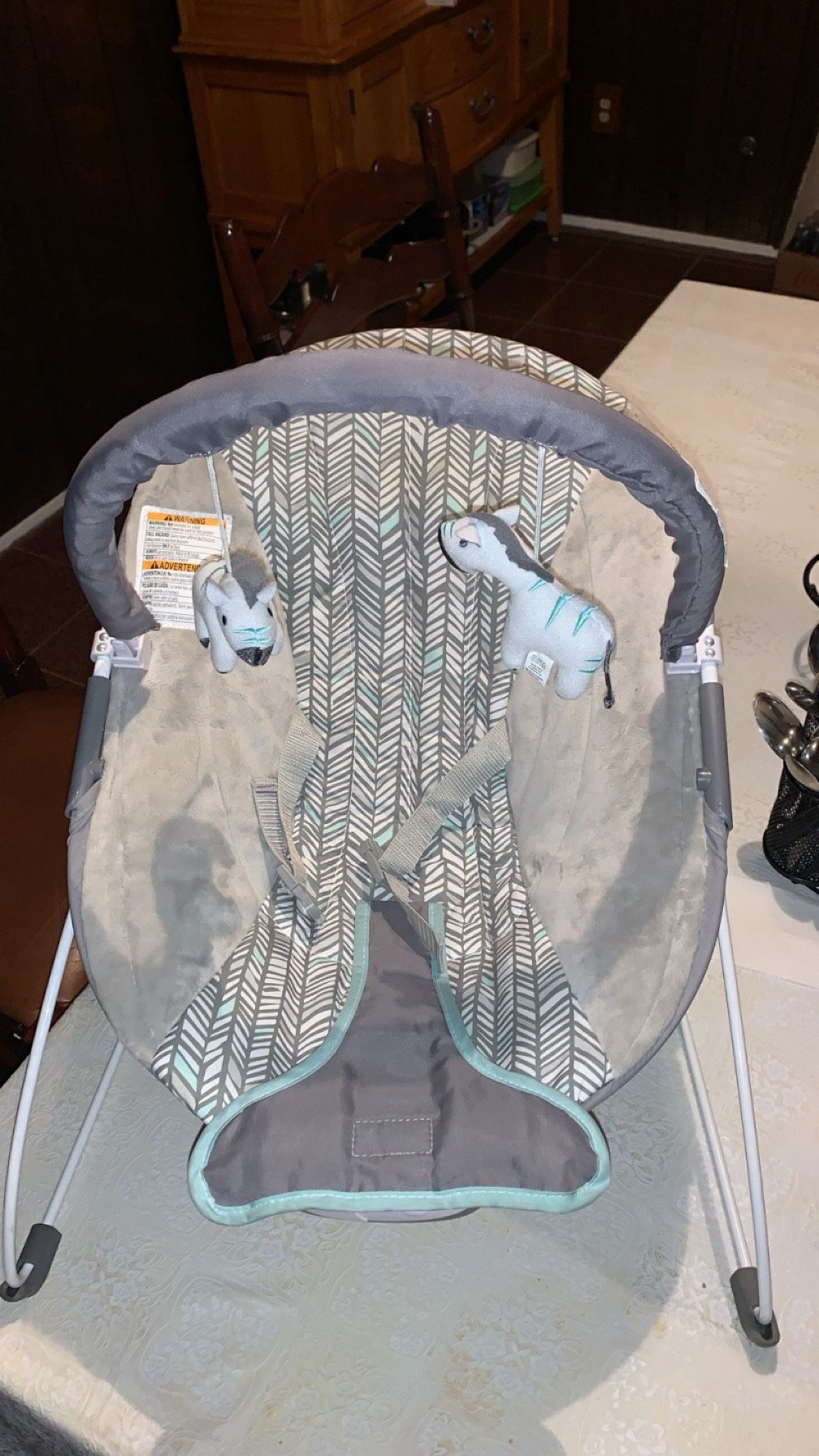 Baby Bouncer