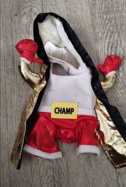 Dog Halloween Costume XS