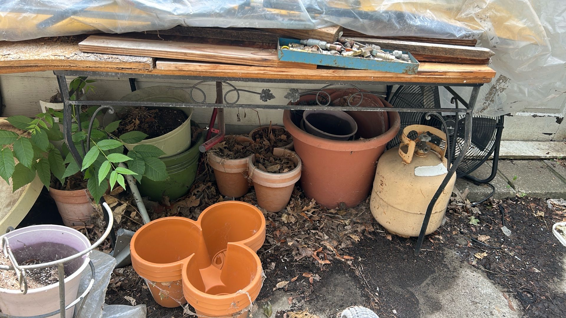 Flower Pots