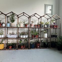 plant sale 