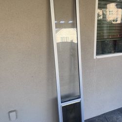 Glass Door Dog