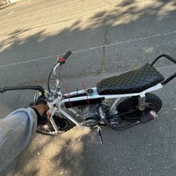 Mini Bike 4 Sale Shoot Offers Lmk