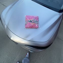 Pink Sp5der Hoodie 