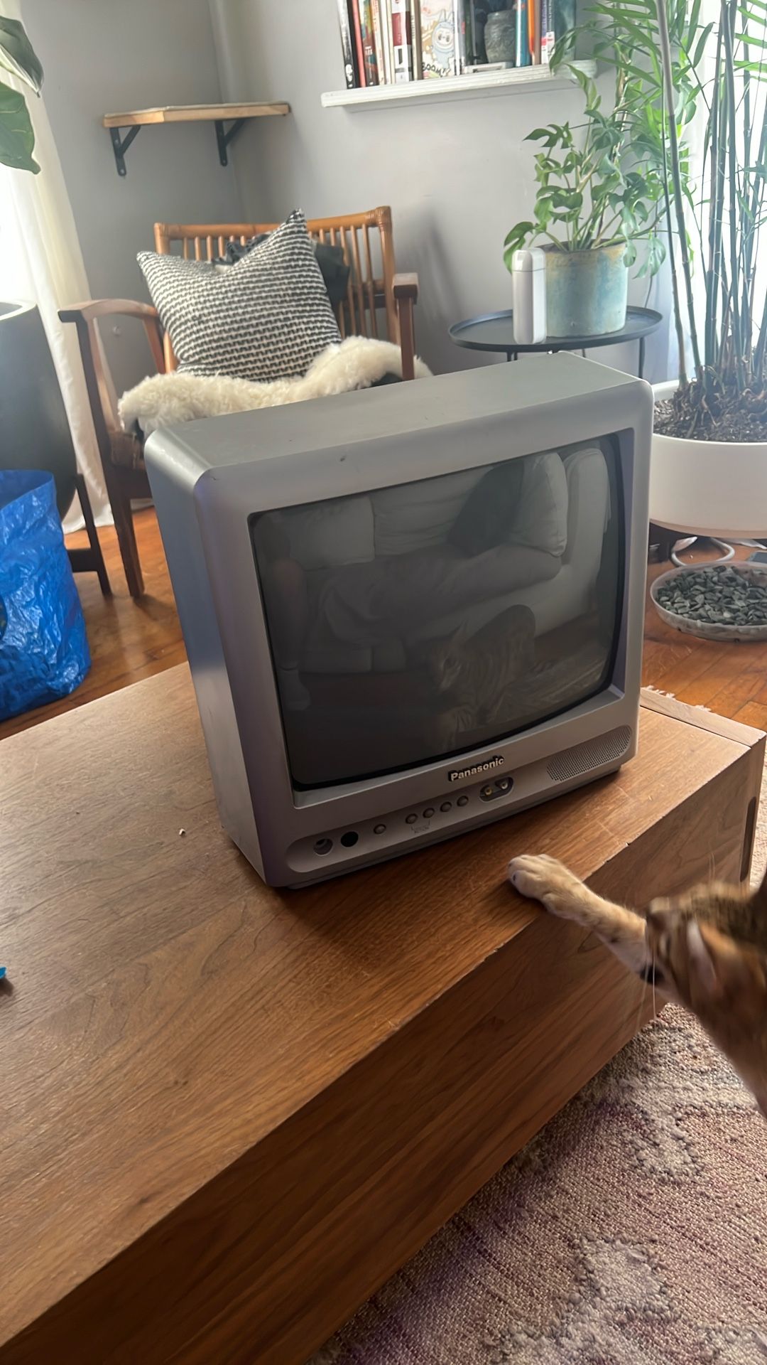 Panasonic 13” CRT TV
