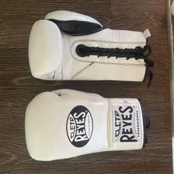 Cleto Reyes 10oz Boxing Gloves 