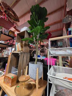 Ikea faux fig tree plant with wood stand and a heavy ceramic pot