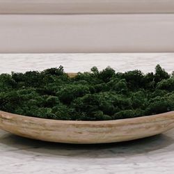 LA Interior greens Terra-Cotta Bowl & Moss Centerpiece