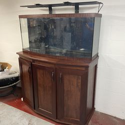 72 Gallon  bowfront aquarium with custom made mahogany base cabinet