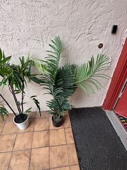 Fake plants