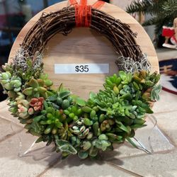 Living Christmas Wreath