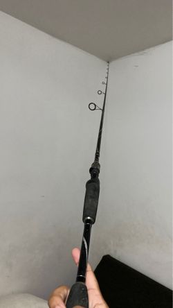 Fishing rod