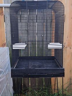 Bird Cage