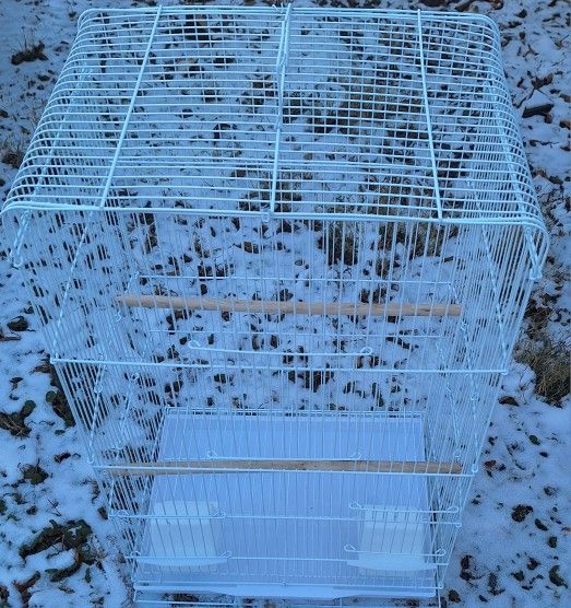 Bird Cage