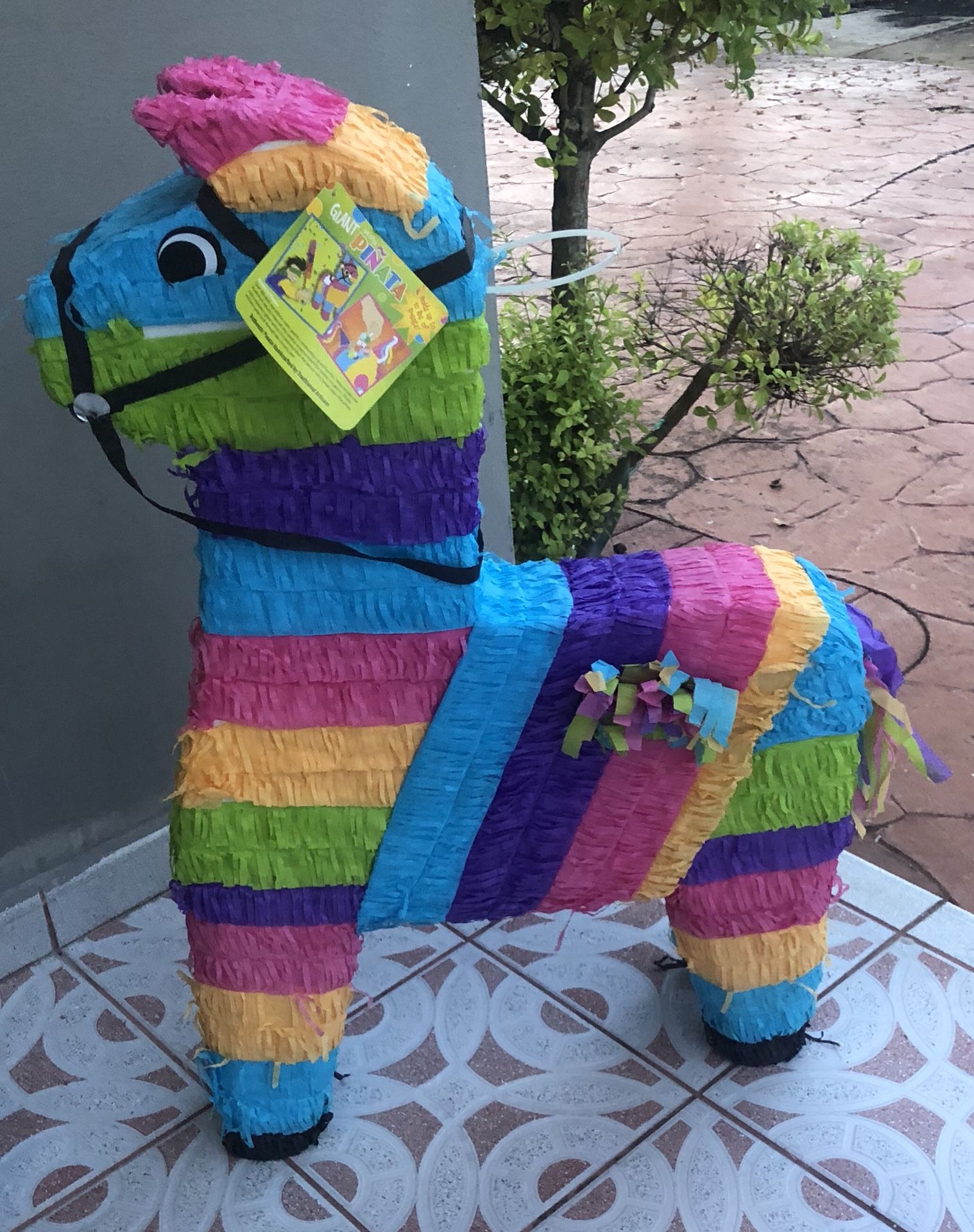 Piñata/Giant Donkey Piñata