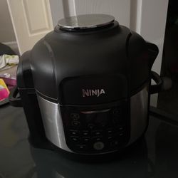 Ninja Air Fryer 