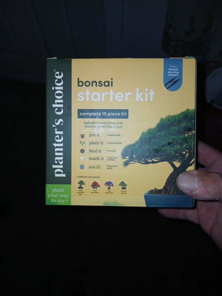 Bonsai 4 Plant Starter Kit