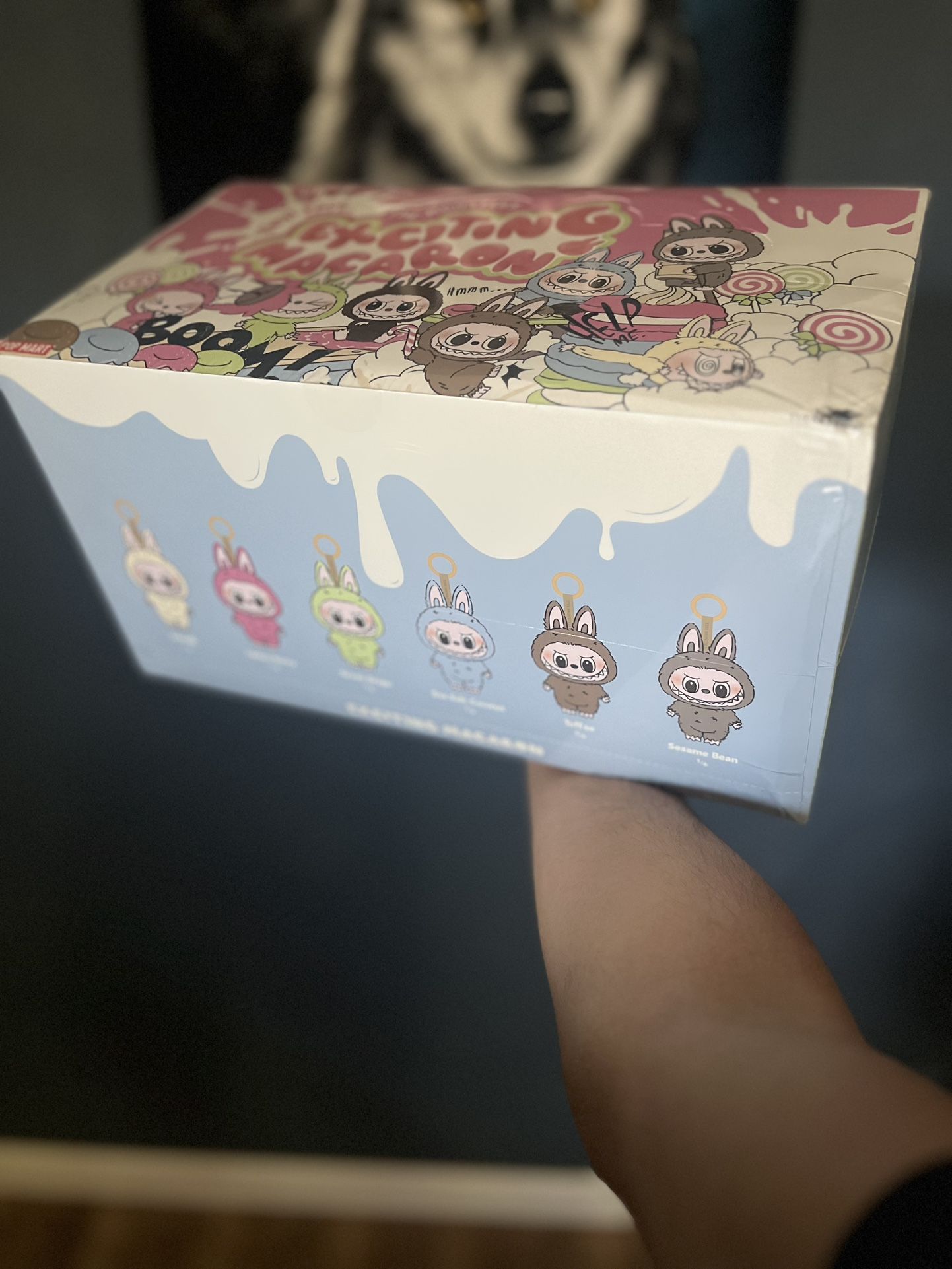 Labubu Exciting Macaron 