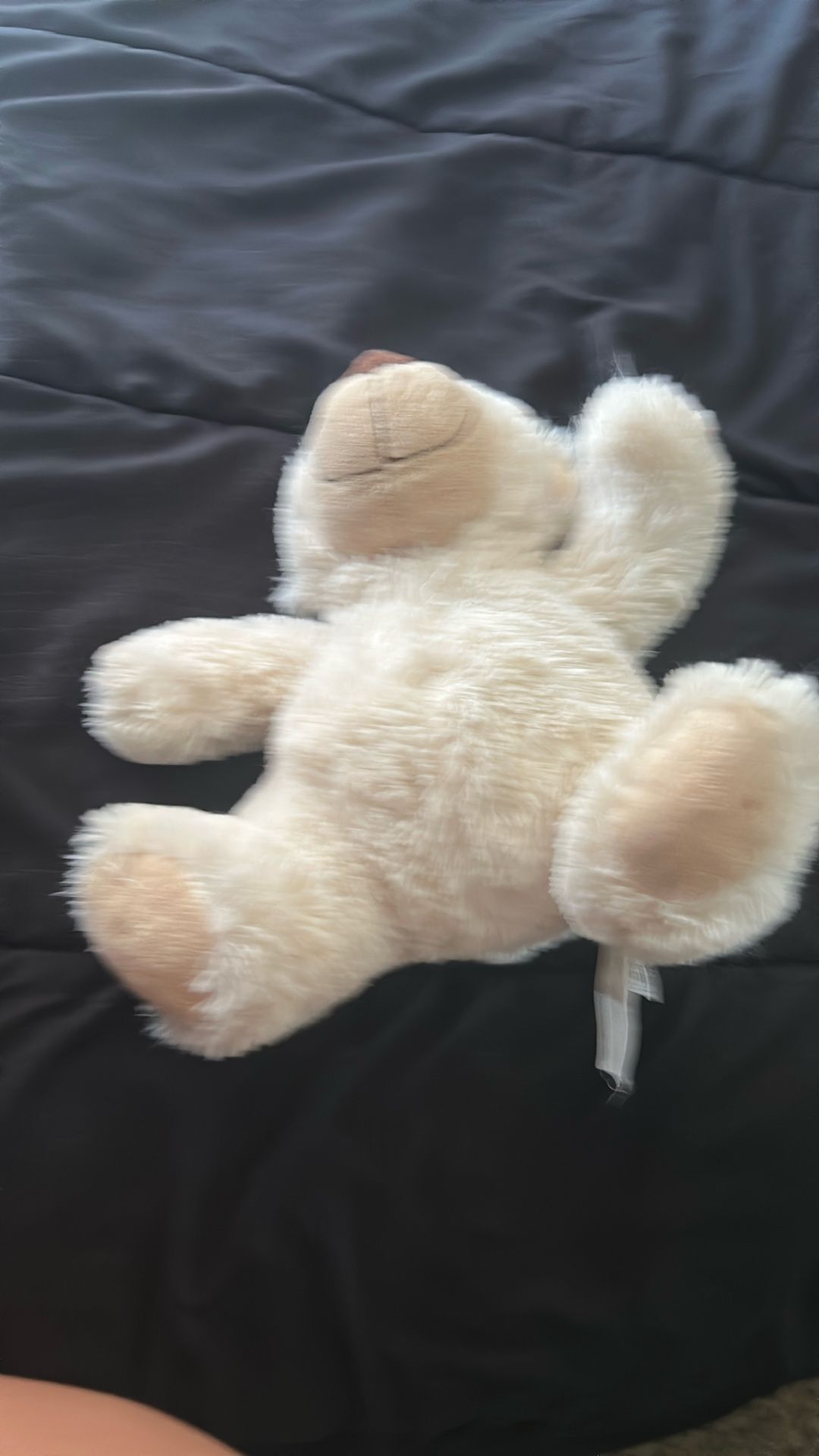 Teddy Bear Toy