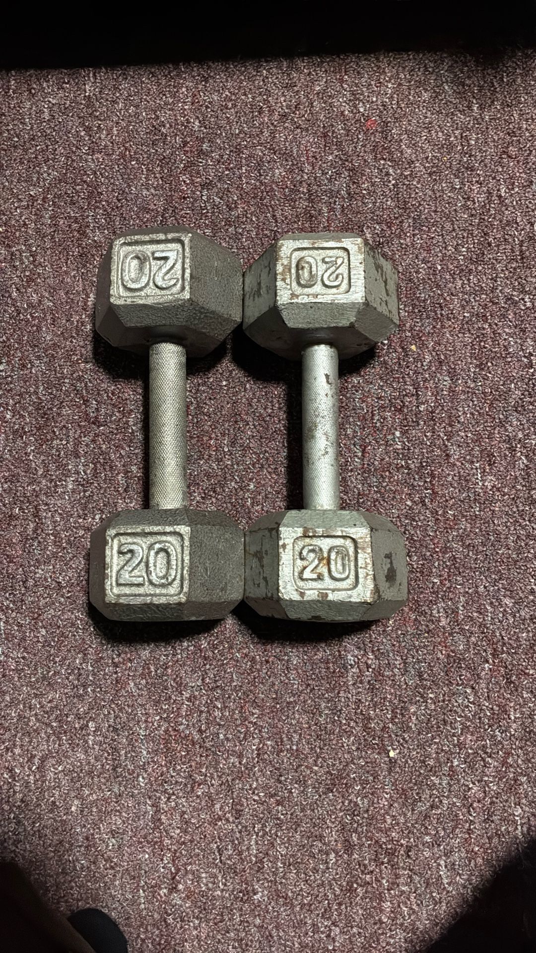 Hex 20lbs Dumbbells 