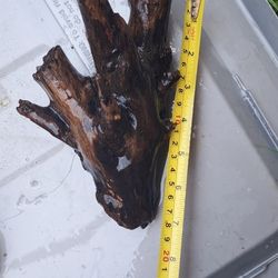 Drift Wood For Fish Tank Or Pond