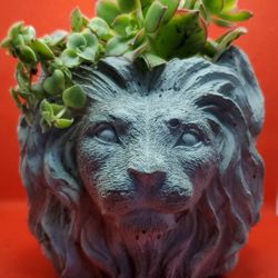 Lion Head Pot