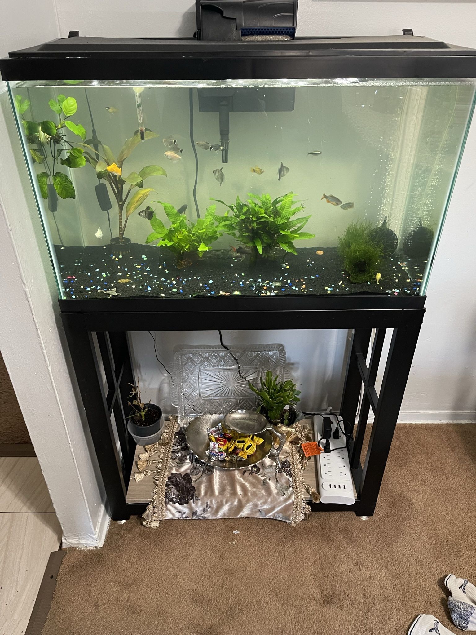 29 gallon Fish Tank 