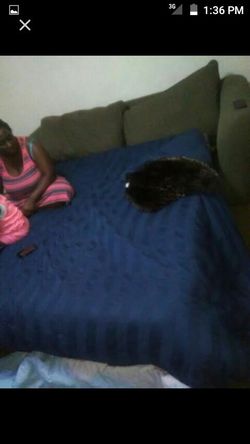 Pull out couch