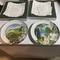 Plates New