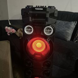 Toshiba party speaker