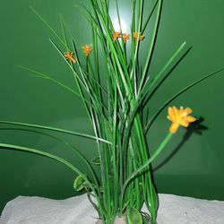 Fish Tank Decorations / Bubbler  / Filters