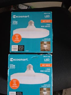 EcoSmart 125W LED Soft White Bulbs (2-Pack)