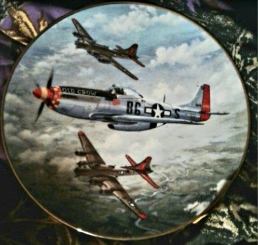 COLLECTOR NEW HOME DECOR WALL PLATES!