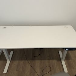 Standing Desk 