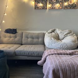 Modern Beige Sectional Sofa – Pet-Friendly & Chic